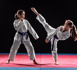 Taekwondo